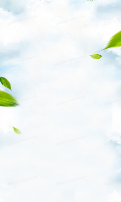 淘寶店鋪背景圖與幻燈片設(shè)計(jì)全攻略 從入門到精通